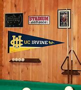 Image result for UC Irvine Pennant