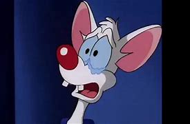 Image result for Pinky and the Brain Sad