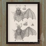 Image result for Bat Print Rtist