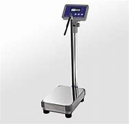 Image result for Digital Platform Scale with High Meter