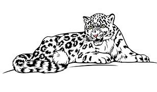 Image result for Snow Leopard Print Background Clip Art