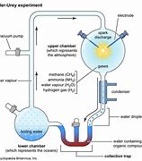 Image result for Miller and Urey Experiment