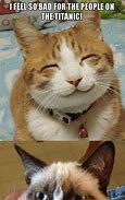 Image result for Grumpy Cat Titanic