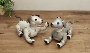 Image result for Aibo 3.1L