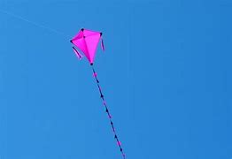 Image result for Pink Kite