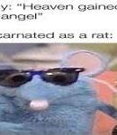 Image result for Blue Rat Meme
