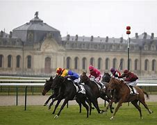 Image result for French Horse Racing Movies