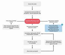 Image result for BLS CPR Overview