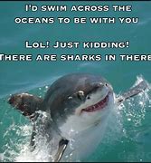 Image result for Happy Shark Meme