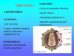 Image result for Virusi Prezentacija