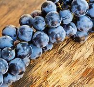 Image result for Different Grapes