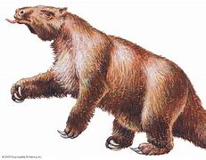 Image result for Sloth Evolution Ice Age