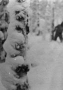 Image result for Russian Yeti
