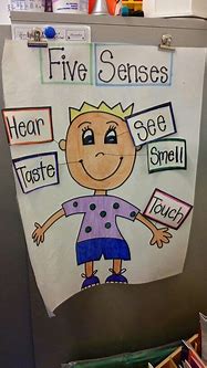 Image result for 5 Senses Anchor Chart