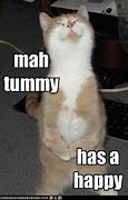 Image result for Happy Tummy Meme