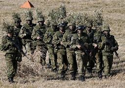 Image result for Japan Army