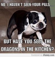 Image result for Pinterest Funny Animal Memes