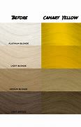 Image result for Canary Yellow Paint Color