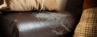 Image result for Damaged Leather