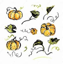Image result for Illustration Pumpkin Vine