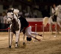 Image result for Dubai Horse Show