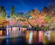 Image result for Japan Fall Night