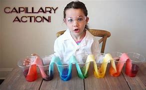 Image result for Science Experiments for Children
