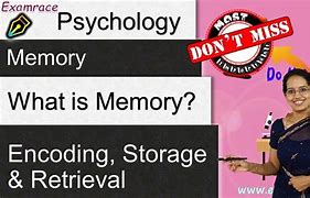 Image result for Encoding Storage and Retrieval Psychology