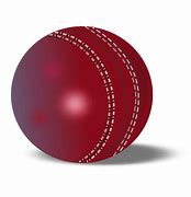Image result for Cricket Animation Logo