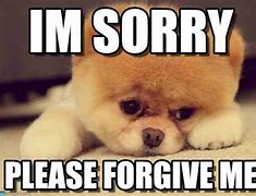 Image result for Terrified of Saying Sorry Meme