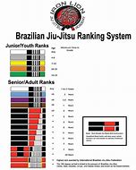 Image result for Brazilian Jiu-Jitsu Belt Rankings