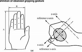 Image result for Ihpone 11 Size vs Hand