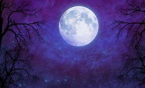 Image result for Night Sky and Moon Light with Stars
