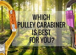 Image result for Pulley Carabiner