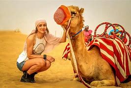 Image result for Dubai Camel Easter Eggs