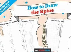 Image result for Spine Board Pic Drawing
