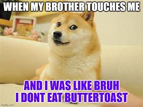 Image result for Don't Eat Carbs Doge Meme