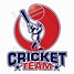 Image result for Cricket 6 Logo
