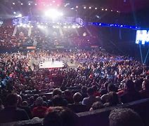 Image result for Wrestling Arena Playset