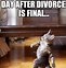 Image result for Funny Divorce Posters