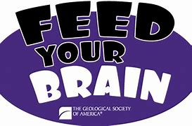 Image result for Feed Your Brain Quotes