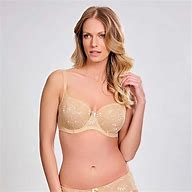 Image result for What Is a Large Cup but Same Band 36DD