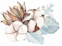 Image result for Watercolor Painting Tutorials