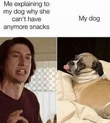 Image result for Funny Small Dogs Memes