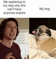 Image result for Dog Memes