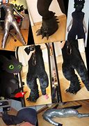 Image result for Toothless Suit Case