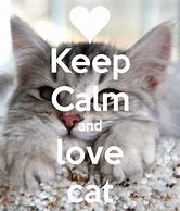 Image result for Keep Calm and Love Your Tabby