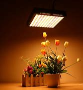 Image result for LED Grow Lights Product
