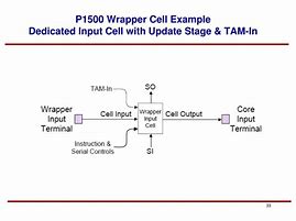 Image result for P1500 Wrapper Cells