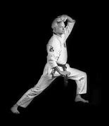 Image result for Most Dangerous Types of Karate Styles